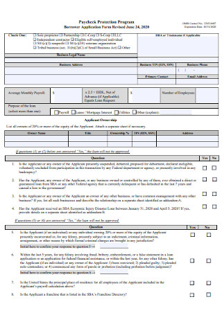 Borrower Job Application Form
