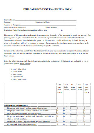 Company Evaluation Form