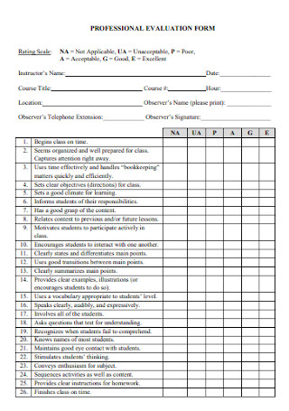 Professional Evaluation Form Template