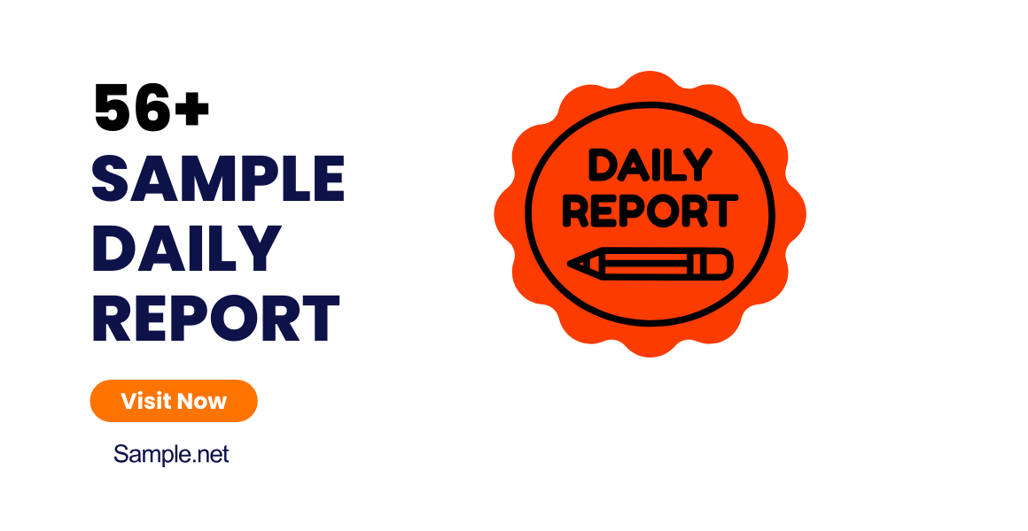 sample daily report