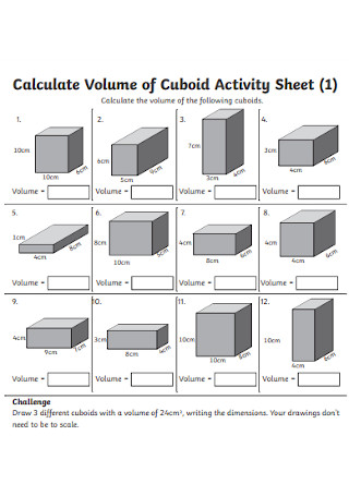Volume of Activity Sheet