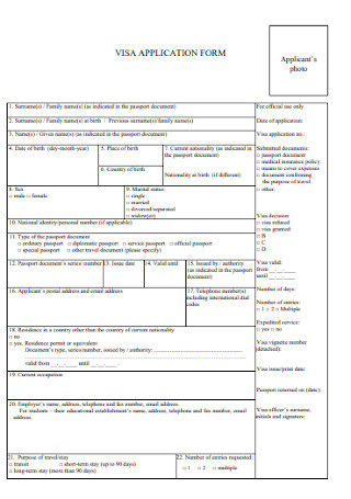 Basic Visa Application Form Template