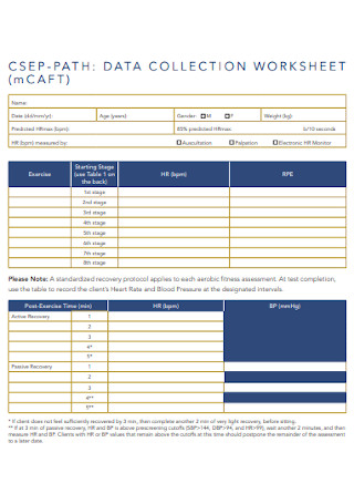 Data Collection Worksheet Template