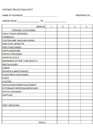 Expense Projection Sheet