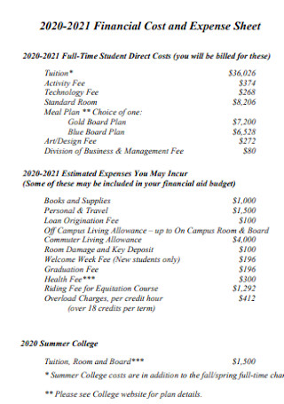 Financial Cost and Expense Sheet 
