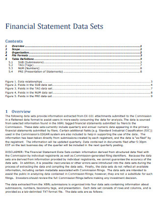 Financial Statement Data Sets Template