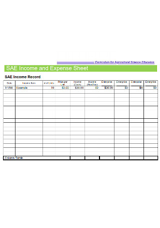 Income and Expense Sheet Template