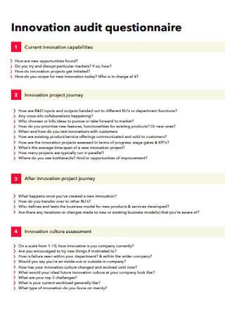 Innovation Audit Questionnaire