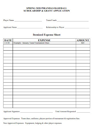 Itemized Expense Sheet