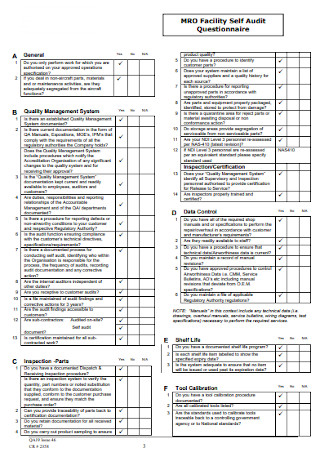 MRO Self Audit Questionnaire