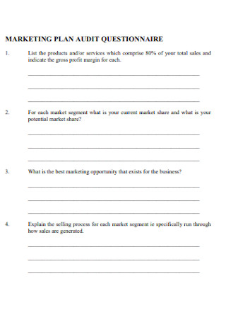 Marketing Plan Audit Questionnaire