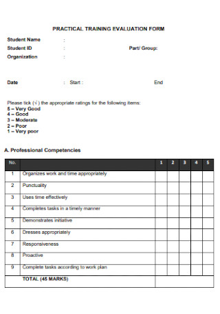 Practical Training Evaluation Form
