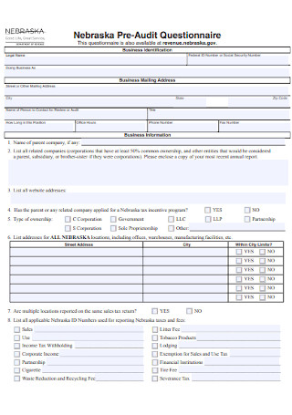 Pre Audit Questionnaire Format
