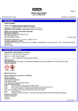 Safety Data Sheet Example