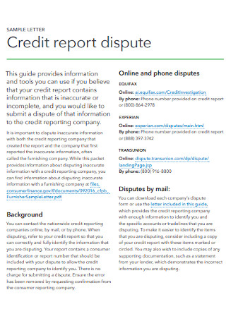 Sample Credit Report Example