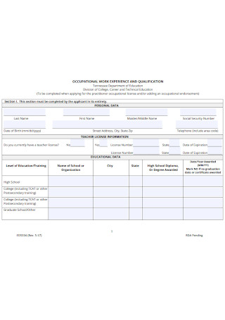 Work Experience and Qualification Sheet