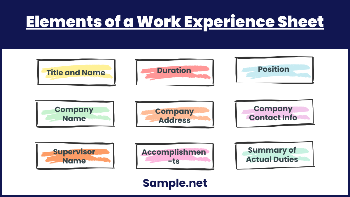 Elements of a Work Experience Sheet