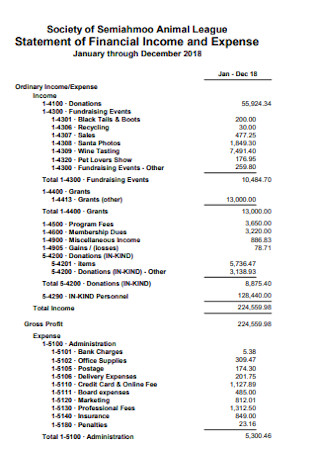 Statement of Financial Income and Expense 