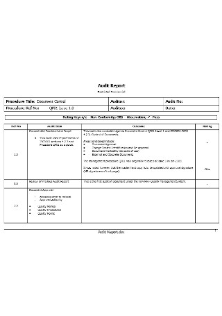 Audit Report Form