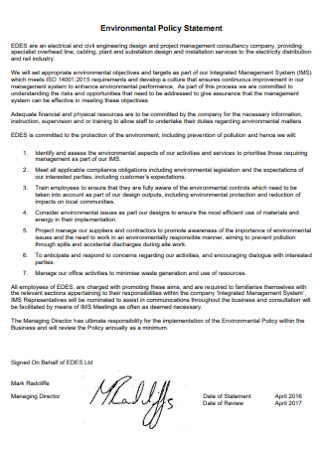 Environmental Electricity Policy Statement 