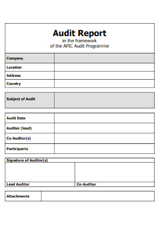 Formal Audit Report Template