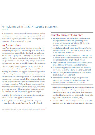Initial Risk Appetite Statement
