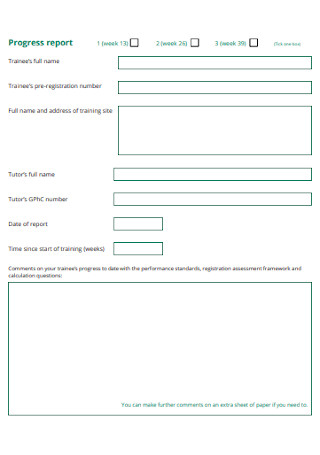 Progress Report Application Form