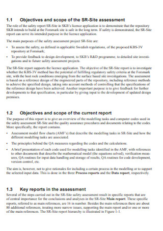 Safety Assessment Summary Report