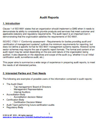 Sample Organization Audit Reports 