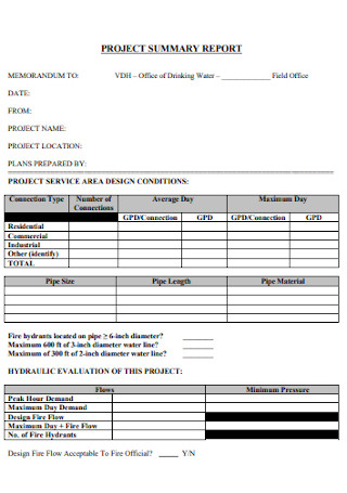 Sample Project Report Template