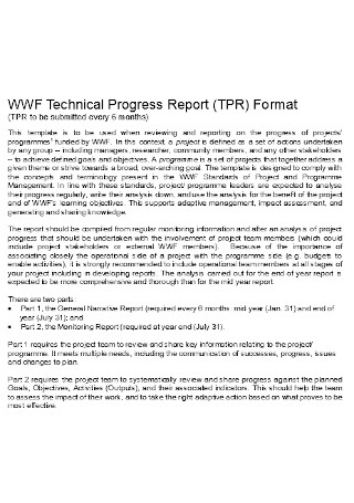 Technical Progress Report Format