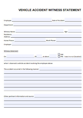 Vehicle Witness Statement Template