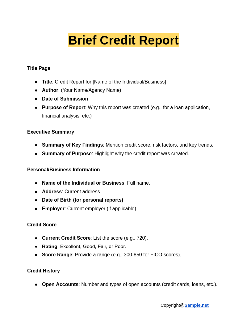 Brief Credit Report Google Docs 12 20 2024 10 40 AM