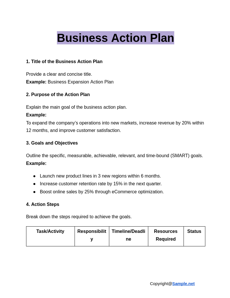 Business Action Plan Google Docs 12 20 2024 10 44 AM