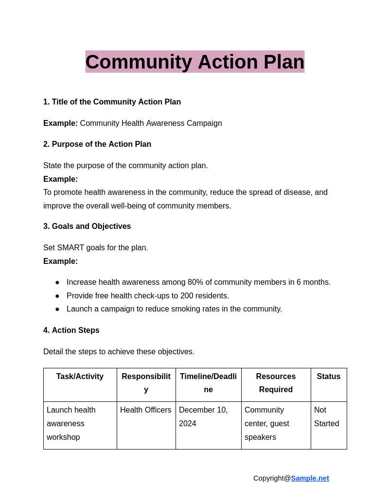 Community Action Plan Google Docs 12 20 2024 10 44 AM