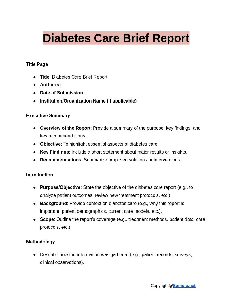 Diabetes Care Brief Report Google Docs 12 20 2024 10 39 AM