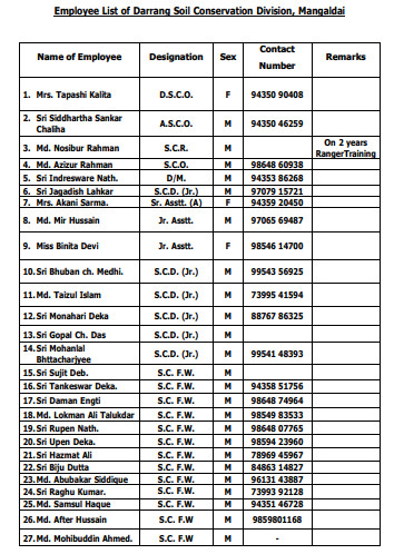 Formal Employee List Template