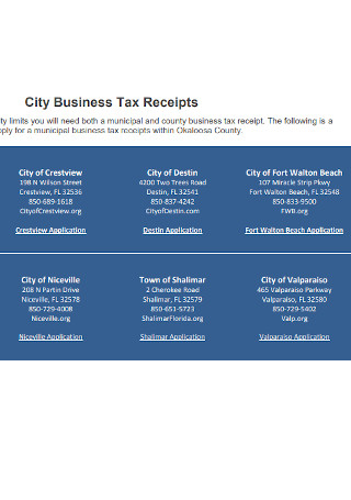 City Business Tax Receipts