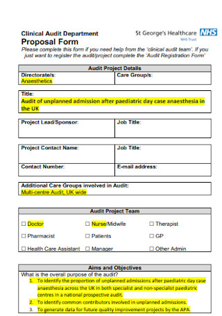 Client Audit Proposal Form