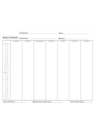 Study Weekly Schedule Template