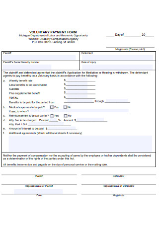 Voluntary Payment Form