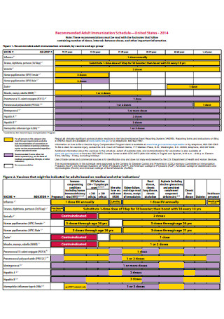 Adult Immunization Schedule Template