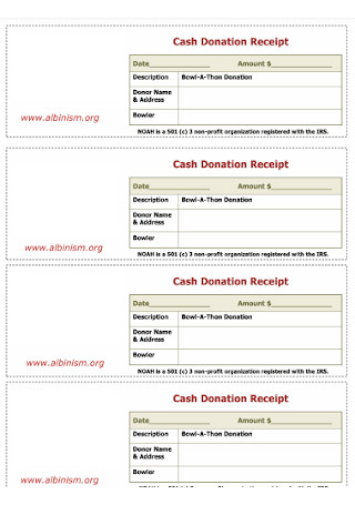 Cash Donation Receipt