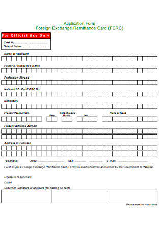 Foreign Exchange Remittance Form
