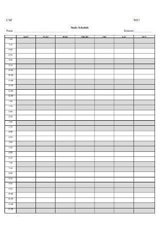 Study Schedule Format