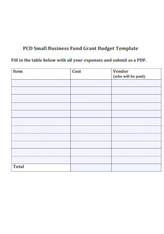 Business Fund Grant Budget Template