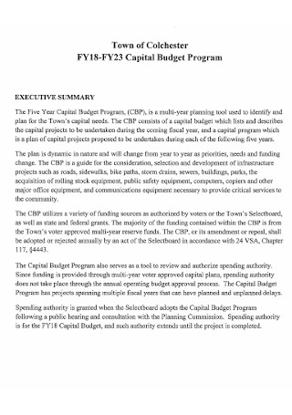 Capital Budget Program Template