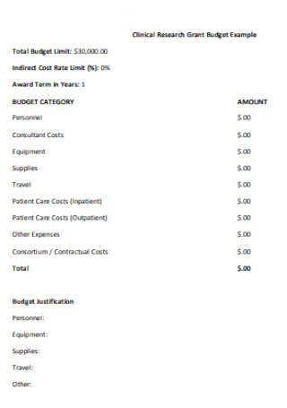 Clinical Research Grant Budget Example