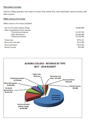 College Operating Budget Template