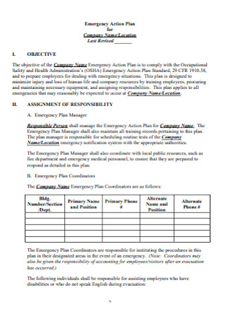 Company Emergency Action Plan 
